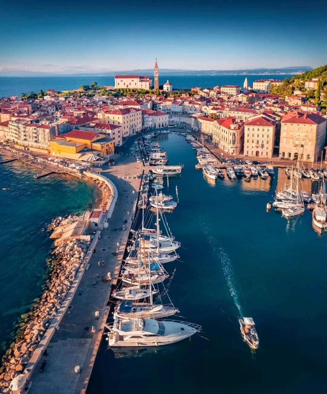 Freedom House Daire Piran Dış mekan fotoğraf